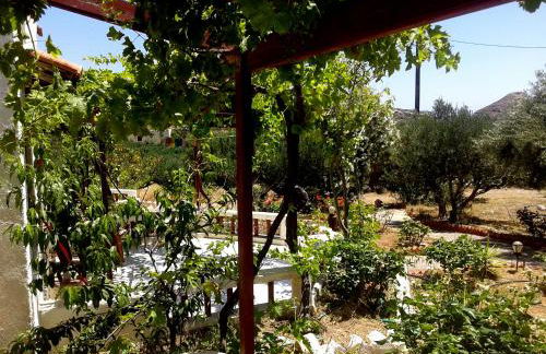 Sunrise Apartments - Photo 48