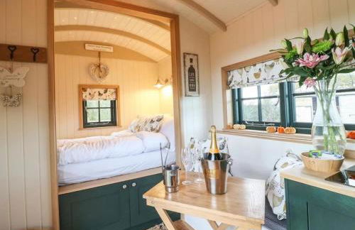 Shepherd's Hut- Hot Tub- Wellness Spa- Wood Burner - Foto 20