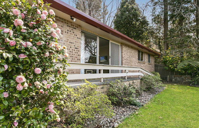 Wentworth Rose - Foto 16