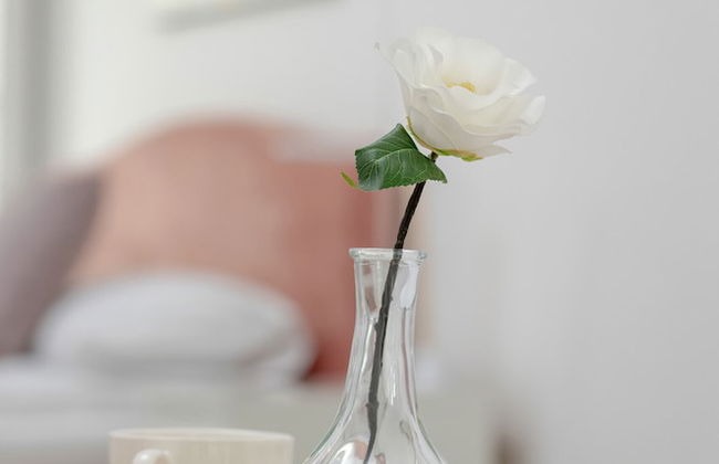 Cozy Apartment With Parking by Renters - Foto 21