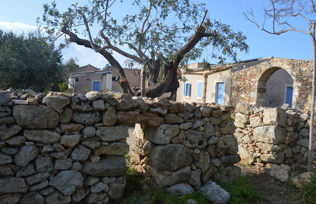 TerraMater - Foto 15