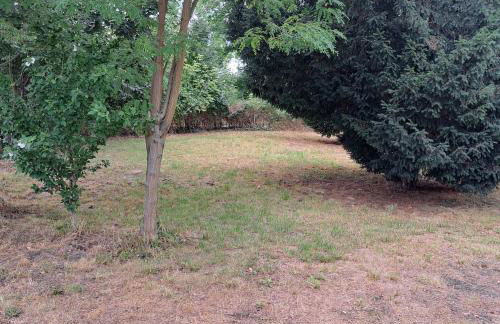 Exclusives Ferienhaus am Kulkwitzer See - Photo 30