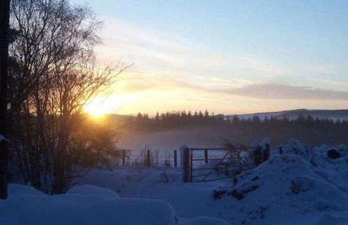 Norwegian Log Cabin The Roe Deer -sauna & hot tub - Foto 24