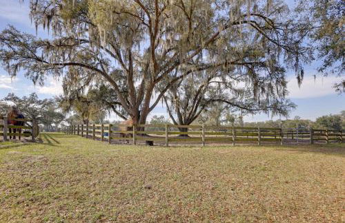 Morriston Studio 13 Mi to World Equestrian Center - Foto 20