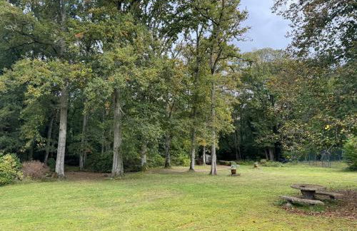 Country house in Forest of Rambouillet - Foto 19