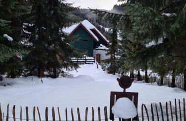 Waldblick Ferienwohnungen - Foto 12