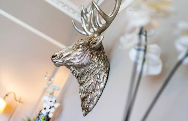 Fountainhall Townhouse Aberdeen City - Photo 45