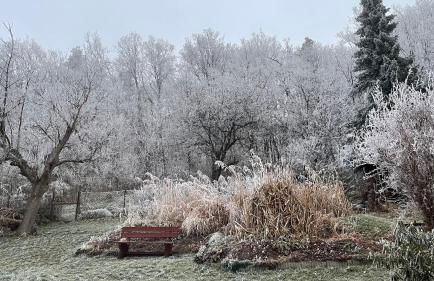 Ferienwohnung Tina - Foto 25