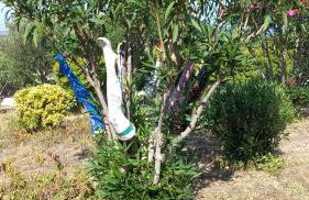 Appartement & Spa - Panoramic Olivars - Foto 28