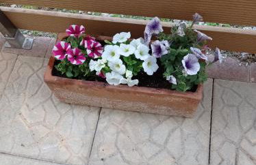 Angela's Seaside Luxury Flat - Foto 49