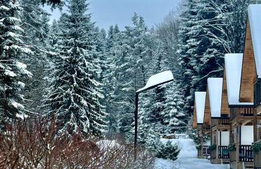 Domki Zew Natury - Foto 13