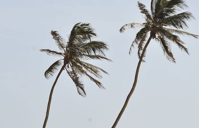 Swyn - The Flat Close To The Beach - Foto 55