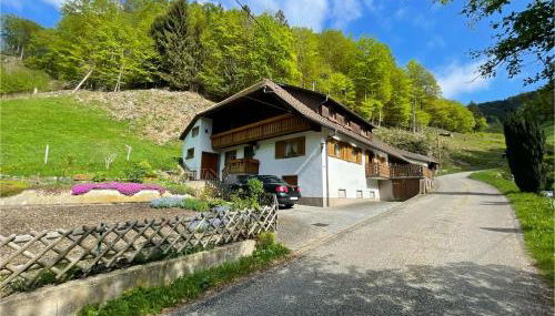 Bauernhaus im Münstertal - Foto 4
