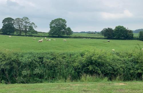 Weatherhead Farm - Foto 29