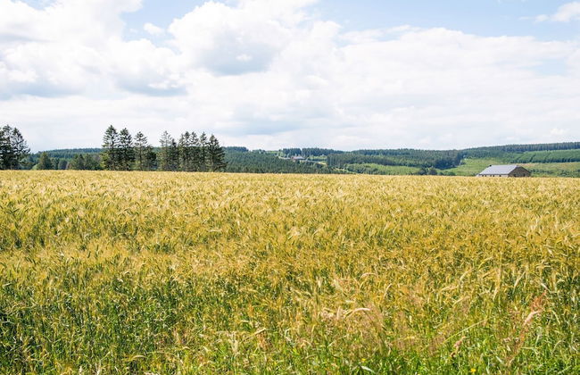 Peaceful Retreat With Sauna - Photo 34