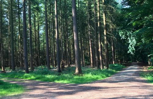 Ferienwohnung ehemaligen Schäferhof - Foto 35