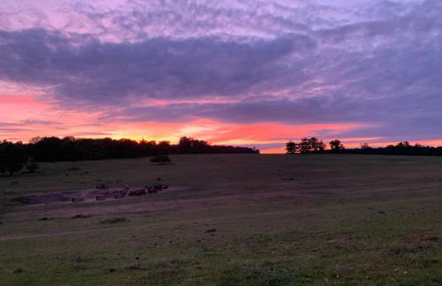 Apartment 2BR-free private parking-quick access to train into London-Wembley-Heathrow - Photo 28