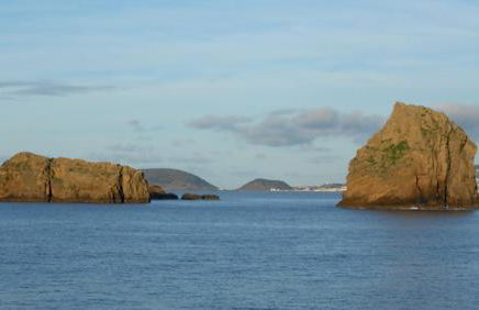 XA Apartments RRAL-579 - Photo 33