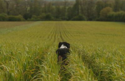 Parcel Tiny House Vallée, près de Verdun - Foto 9