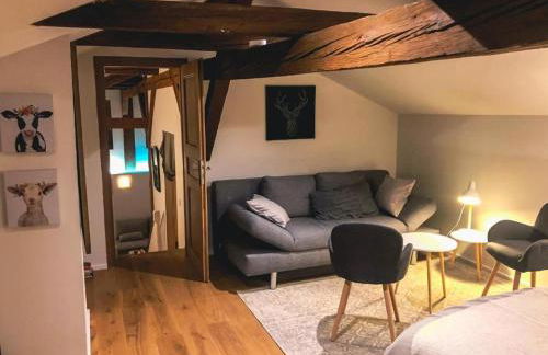 Villa d'exception LA BELLE DES VOSGES 4 étoiles, bain nordique, sauna, billard etc - Foto 20