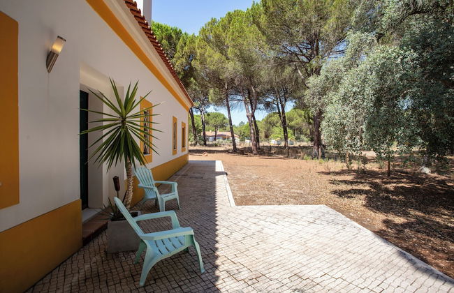 Herdade de Montalvo - Foto 11