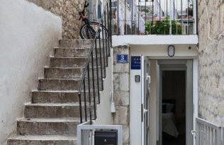 Split Avocado Dream - Foto 51