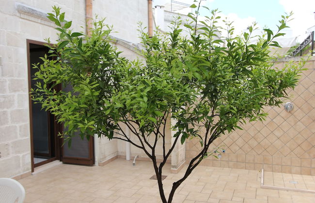 Residence Borgo Antico - Foto 65