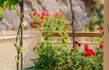 Dreamcatcher Villa - Foto 38