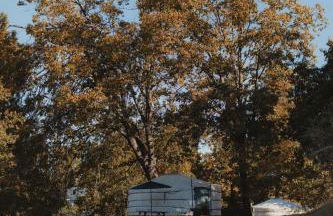Glamping yurt at a nature retreat near Sequoia - Foto 37