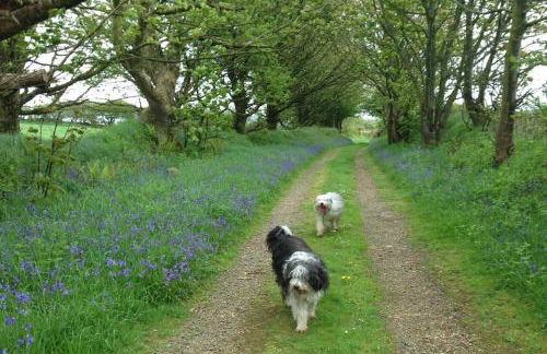 Cosy bijou retreat - Foto 22