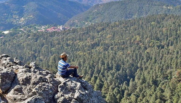 Taking in the fresh forest air