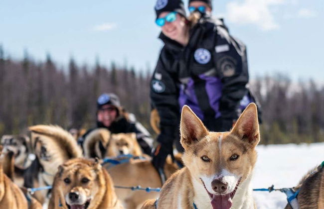 Paseo en trineo de perros husky en invierno - Foto 1