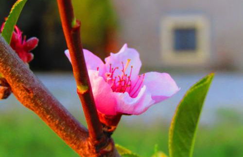 Residenza Torre Antica - Foto 36