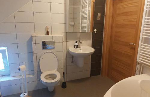 Apartment Cedar Zagreb Airport - Velika Gorica - Foto 22