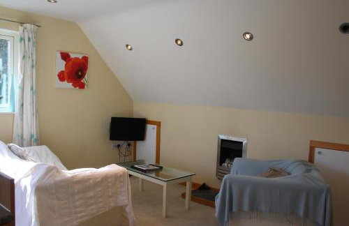 Cherry Trees - Photo 5