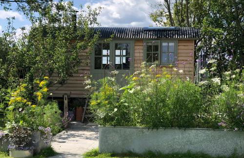 Little Plovers Shepherd Hut - Foto 8