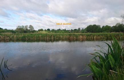 Hale Aloha - Foto 54