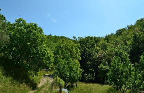 Rustic Tuscan Cottage - Foto 64