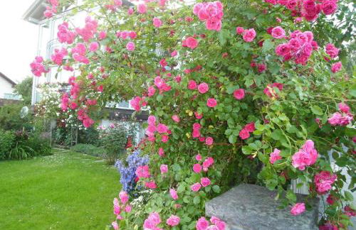 Ferienwohnung "Gaby" - Foto 18