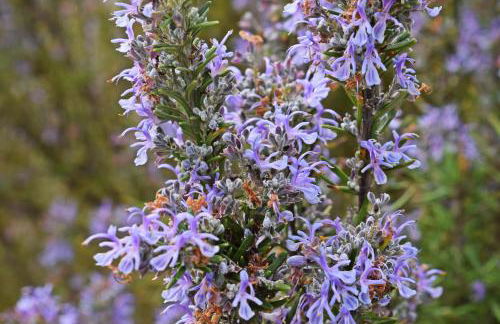 Casa do Avô Tó - Foto 48