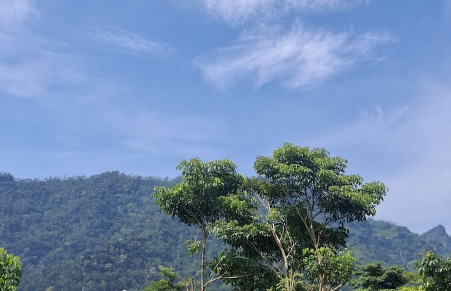 Balkondes Tuksongo - Foto 35