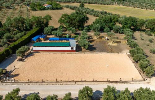 Pasa Fina, luxury holiday retreat - Photo 43