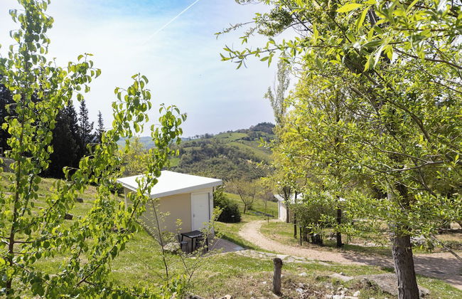 La Valle Dei Caprioli - B&B - Foto 4