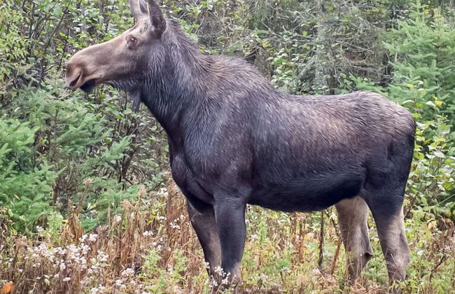 2 Person Holiday Home in Uddevalla - Foto 3