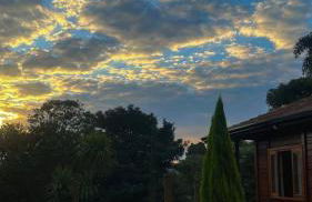 Biju's Little Farm - Foto 7