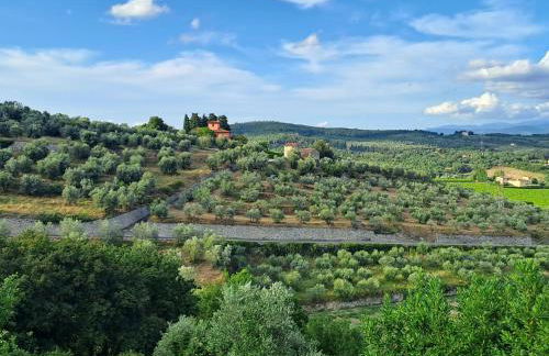 The Green House in Troghi - Foto 13