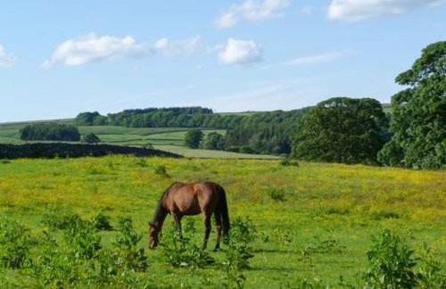 The Summer Palace - Photo 8