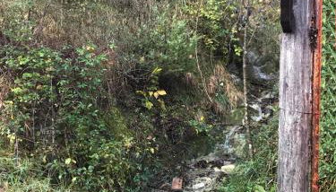 Casina del Ponte - Foto 3