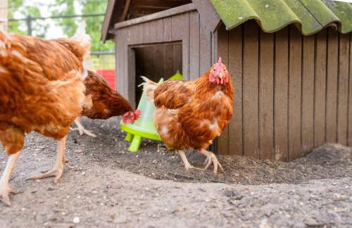 Ferienwohnung Fachwerkhaus - Westen oben - Bauernhof Hopp Vadersdorf - Foto 32