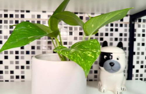 AirComfort Stay - 15min Aeroporto Internacional de Guarulhos - Foto 28